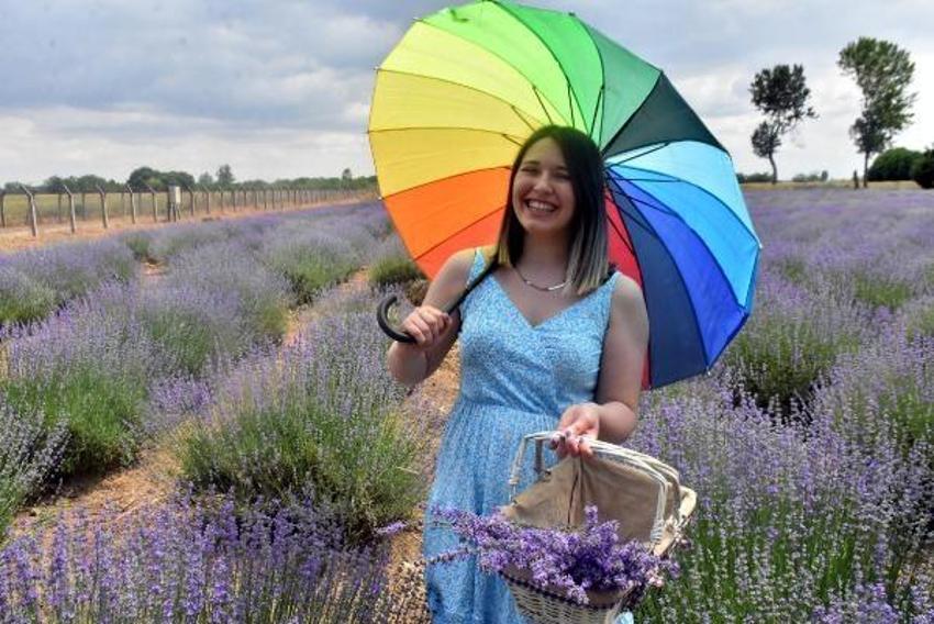 Trakya'da tarlalar mor renge büründü! Turizme büyük katkısı olacak