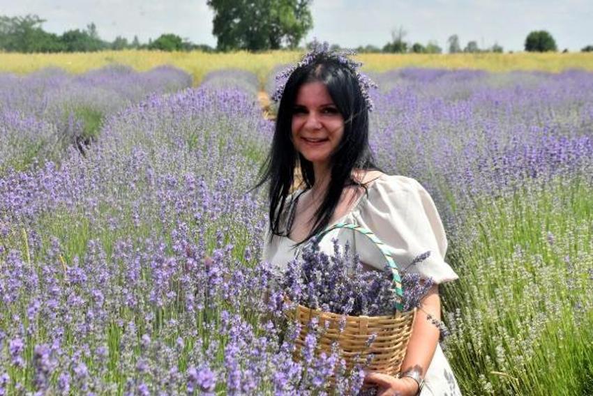 Trakya'da tarlalar mor renge büründü! Turizme büyük katkısı olacak