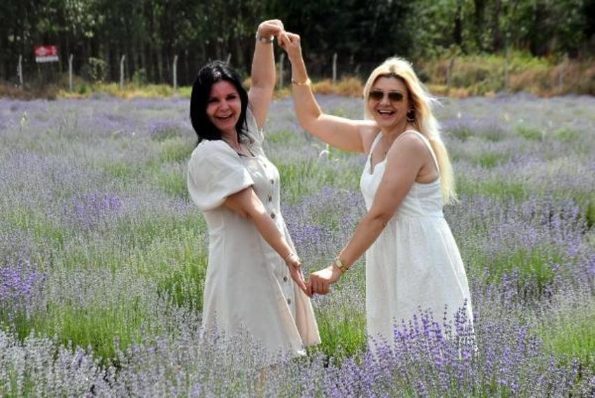 Trakya'da tarlalar mor renge büründü! Turizme büyük katkısı olacak