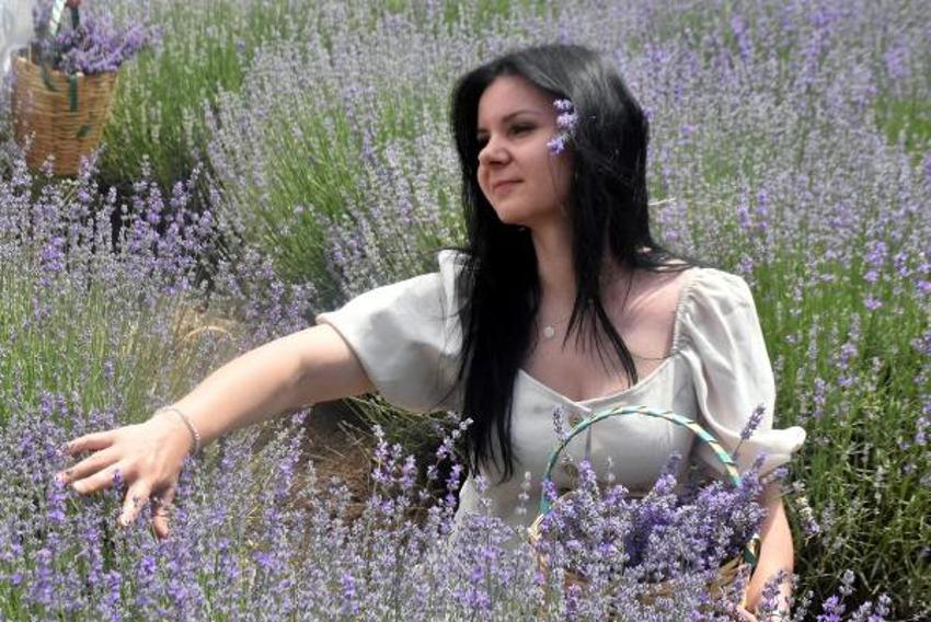 Trakya'da tarlalar mor renge büründü! Turizme büyük katkısı olacak