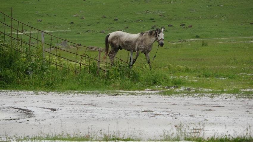 AFAD Giresun, Trabzon, Rize ve Artvin için uyardı! Sağanak etkili oldu; hoparlörle ‘dereden uzak durun’ anonsları yapıldı