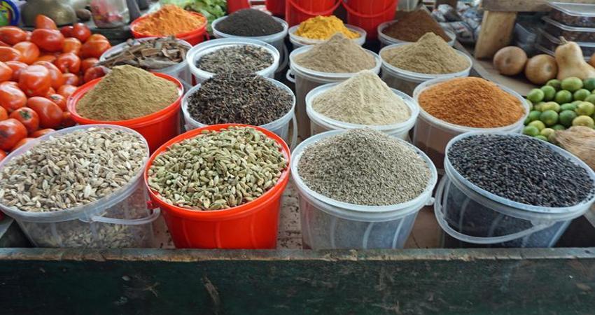 Açlık Otu Nedir? Açlık Otu Faydaları Nelerdir?
