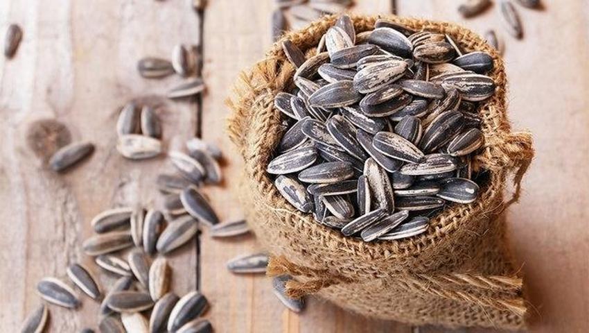 Son araştırma noktayı koydu: Bu yiyecekler sperm miktarını ve kalitesini artırıyor!