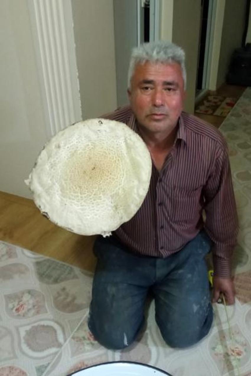 Görenler şaşkına döndü! Tam 36 santimetre genişliğinde