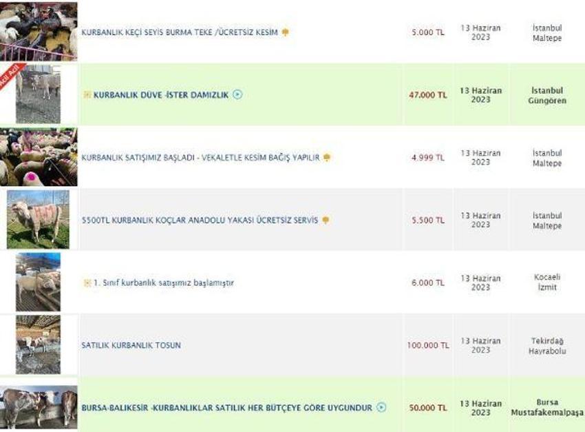 İnternetten kurbanlık alanlara dolandırıcı uyarısı! Sahte ilanlara aldanmayın