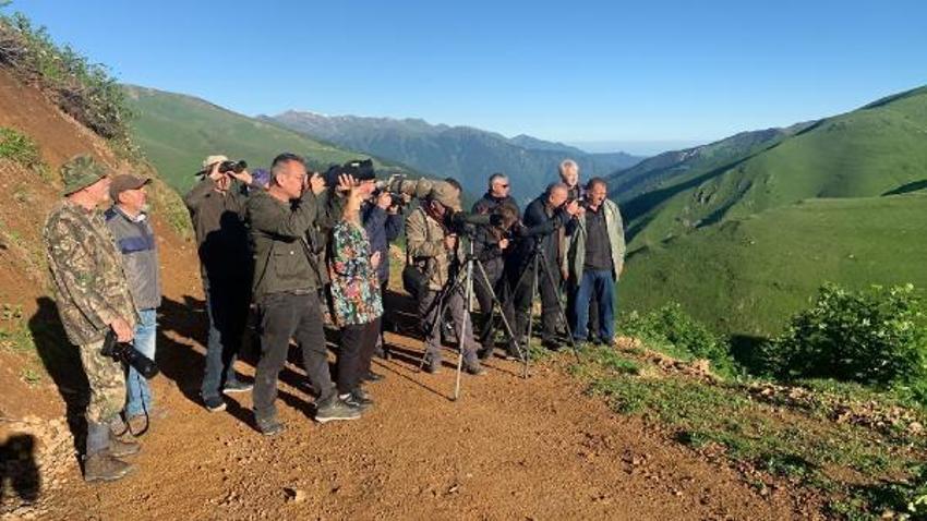 ‘Dağ horozu’ gözleminde ‘çekirge kamışçını’ Türkiye’de ilk kez objektiflere yakalandı