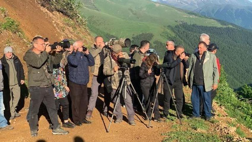 ‘Dağ horozu’ gözleminde ‘çekirge kamışçını’ Türkiye’de ilk kez objektiflere yakalandı