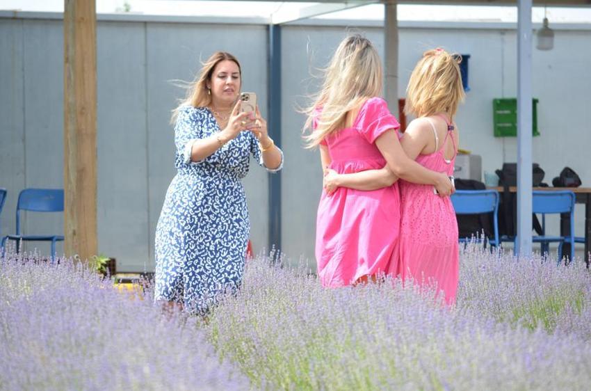 İstanbul'un yanı başında mor turizm başladı: Buraya stresli girmek yasak