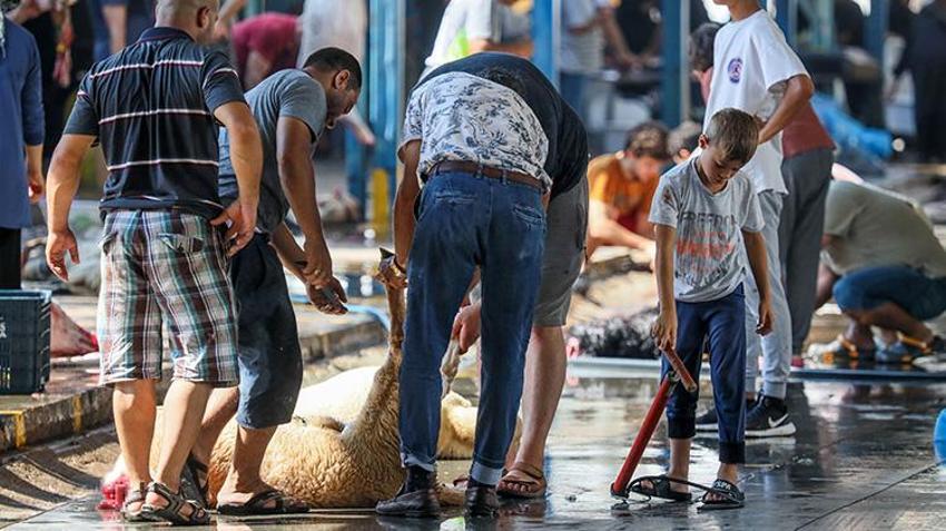 Kurban kesecekler dikkat! Cezası 10 bin 319 lira