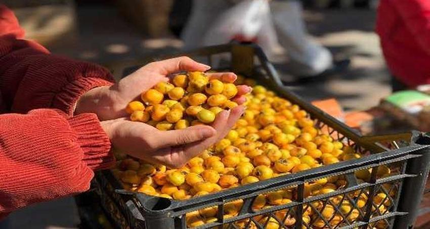 Alıç Sirkesi Nasıl Kullanılır? Alıç Sirkesi Kullanırken Yapılması Gerekenler...