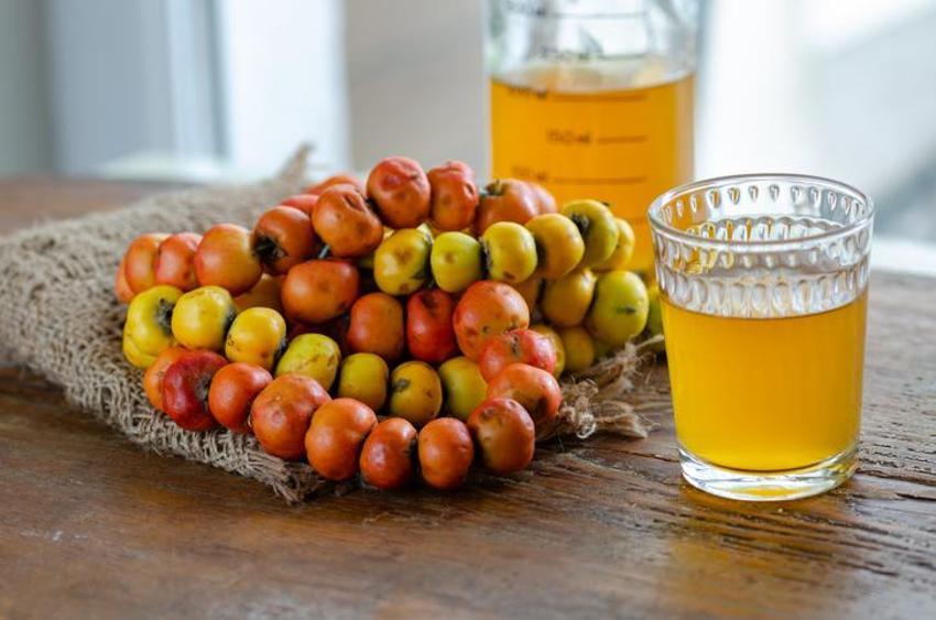 Alıç Sirkesi Nasıl Kullanılır? Alıç Sirkesi Kullanırken Yapılması Gerekenler...