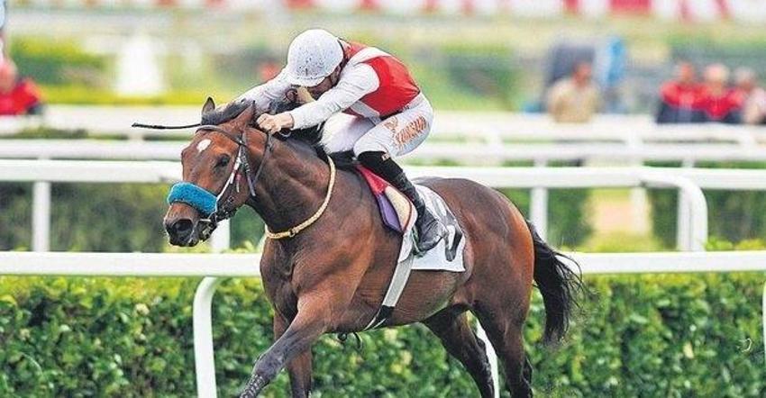 2023 Gazi Koşusu ödülü ne kadar? 97. Gazi Koşusu'nu kazanan at sahibi kaç TL ödül alacak?