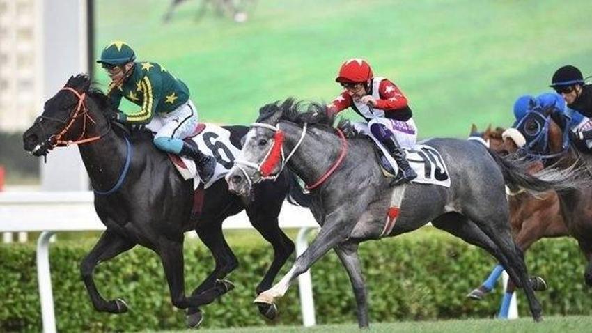 2023 Gazi Koşusu ödülü ne kadar? 97. Gazi Koşusu'nu kazanan at sahibi kaç TL ödül alacak?