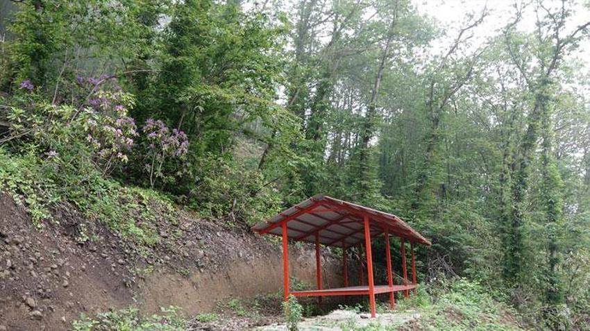Karadeniz'de 'katil arı'ya karşı yapışkanlı tuzaklar devrede