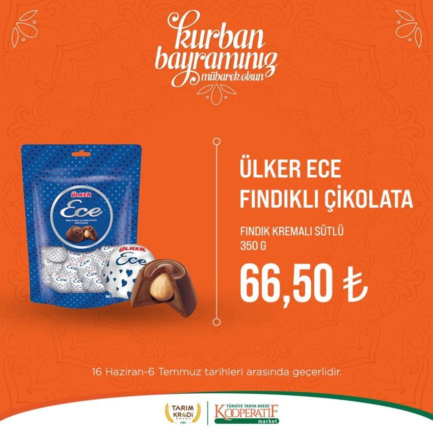 Tarım Market 23 Haziran - 6 Temmuz aktüel katalog 2023 yayınlandı! Tarım Kredi Ayçiçek yağı, bayram şekeri fiyatları füze gibi düştü!