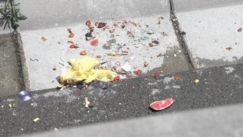 İstanbul'un bir semtini istila ettiler! Solunum zorluğuna ve tansiyona yol açıyor