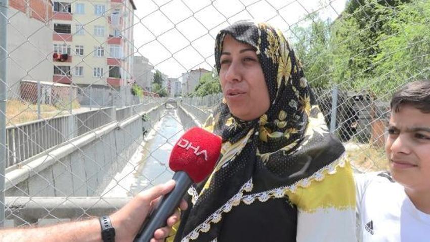 İstanbul'un bir semtini istila ettiler! Solunum zorluğuna ve tansiyona yol açıyor