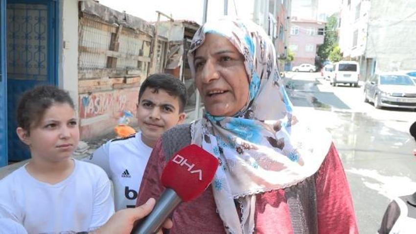 İstanbul'un bir semtini istila ettiler! Solunum zorluğuna ve tansiyona yol açıyor
