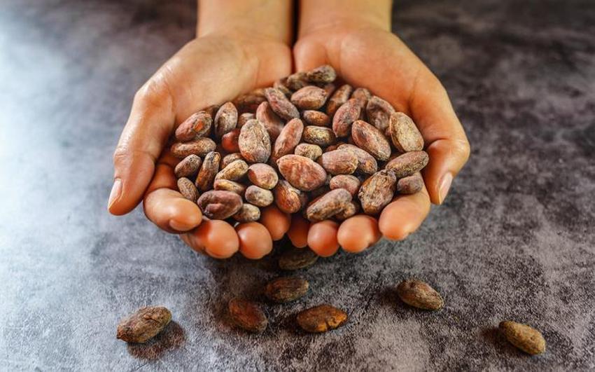 Bitter Çikolata Kaç Kalori? Bitter Çikolata Besin Değerleri Ve Kalorisi...