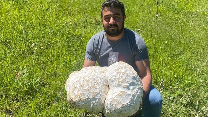 Bulduğunda kaya sandı, ne olduğunu anlayınca şok oldu