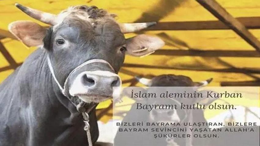 Kurumsal bayram mesajları! Yöneticiye, müdüre, iş arkadaşına, müşterilerine, iş ortaklarına, patrona resmi kurban bayramı mesajları burada: Resmi kurban bayramı kurumsal mesajlar