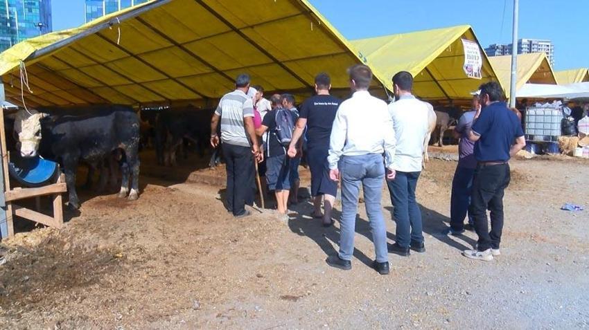 Kurban pazarında son gün yoğunluğu