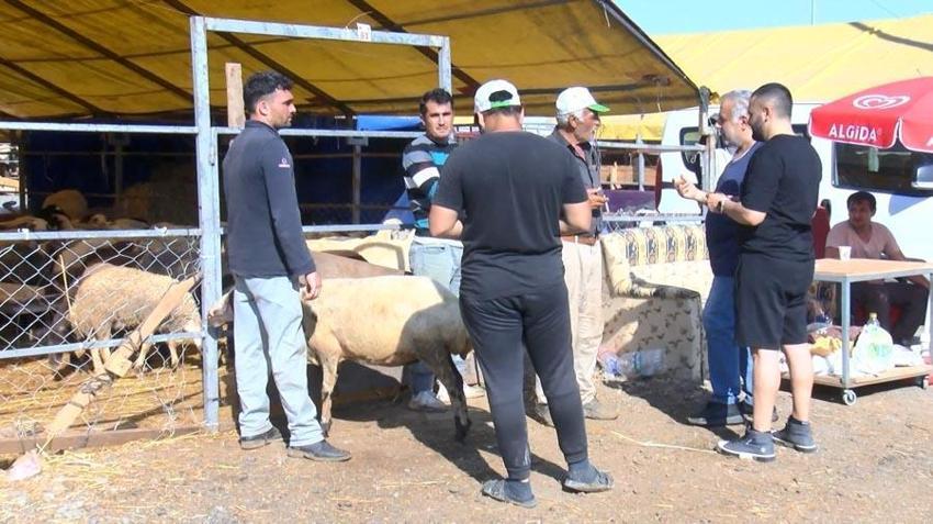 Kurban pazarında son gün yoğunluğu