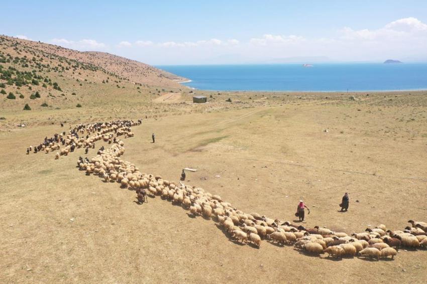 Ayda 40 bin TL kazandırıyor! Eleman bulunamıyor