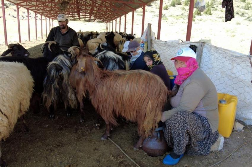 Ayda 40 bin TL kazandırıyor! Eleman bulunamıyor