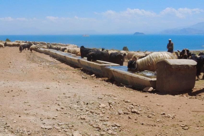 Ayda 40 bin TL kazandırıyor! Eleman bulunamıyor