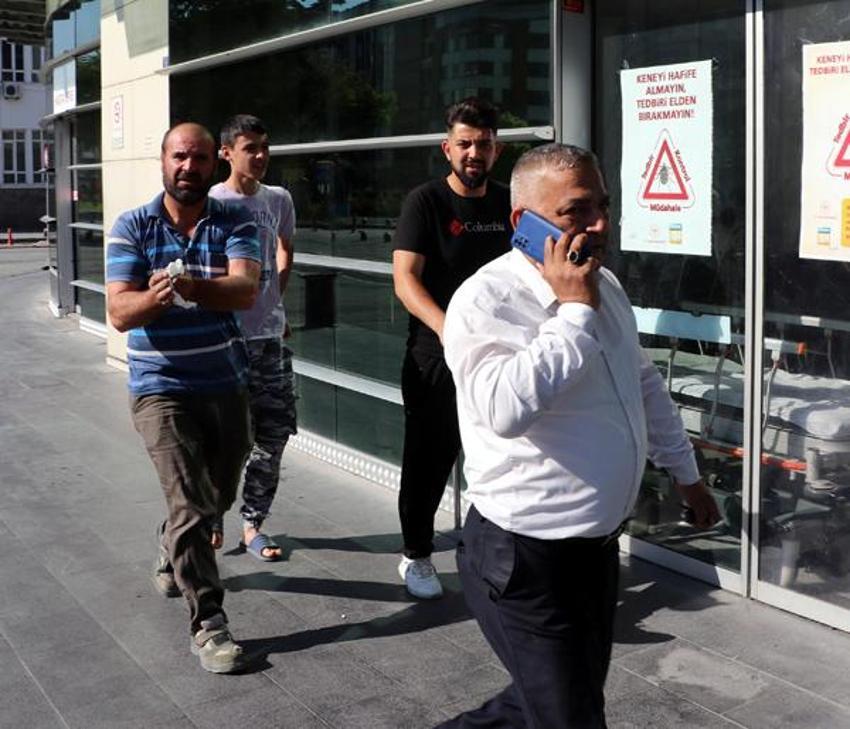 Kurban Bayramı'nda bu sene de manzara değişmedi! Acemi kasaplar hastanelik oldu