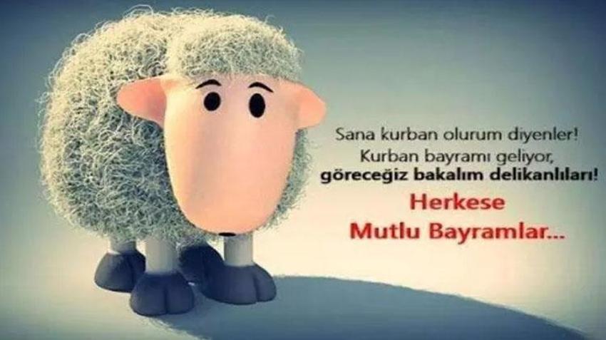 Komik bayram mesajları! Bayramınızı enişten dileklerimle kutlarım: 2023 En komik, esprili, kahkaha attıran, eğlenceli, resimli komik kurban bayramı mesajları