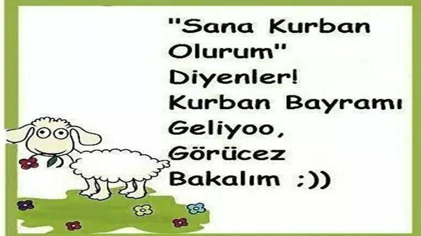Komik bayram mesajları! Bayramınızı enişten dileklerimle kutlarım: 2023 En komik, esprili, kahkaha attıran, eğlenceli, resimli komik kurban bayramı mesajları
