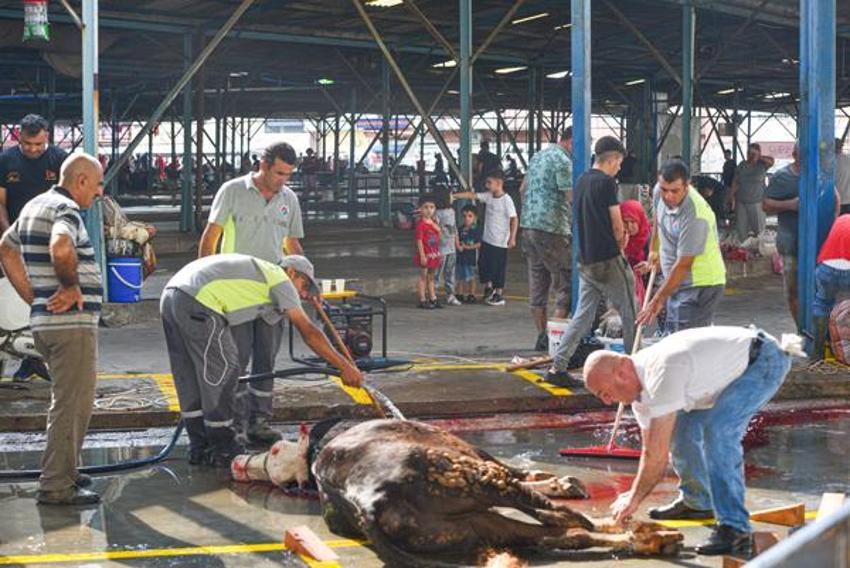 Kurban eti nasıl saklanır, kurban eti evde nasıl dinlendirilir? Kurban eti ne kadar dinlenmeli, et kesildikten kaç saat sonra dolaba konur? 