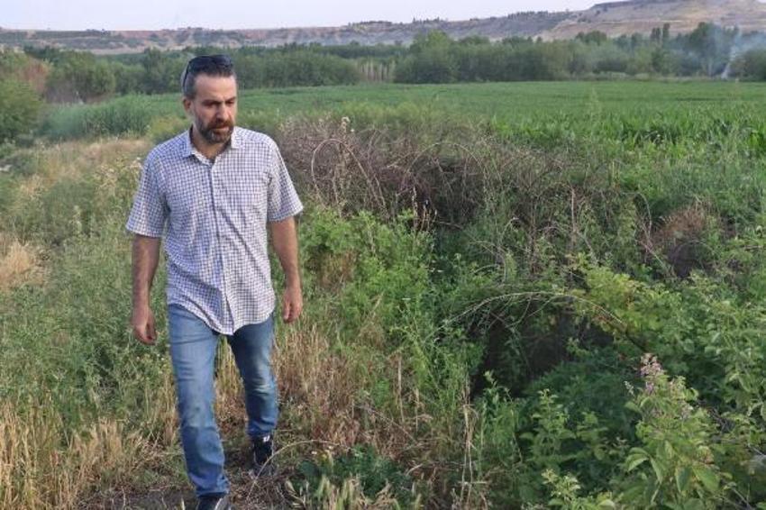 Profesörden karayılan uyarısı; zehirlileri yer, zararsızdır, öldürmeyin