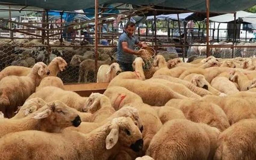 Kurban Bayramı hangi gün bitiyor? Bayram tatili dönüşünde hangi yollar açık olacak? 