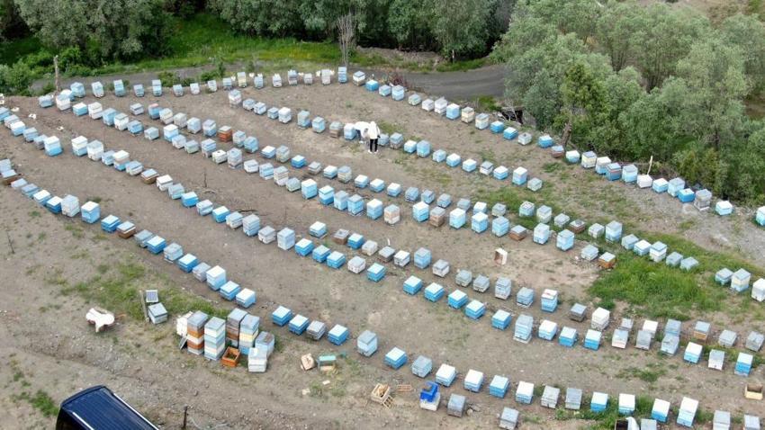 Yağışlı havalar bal üretimini de vurdu! ‘Arılar strese giriyor'