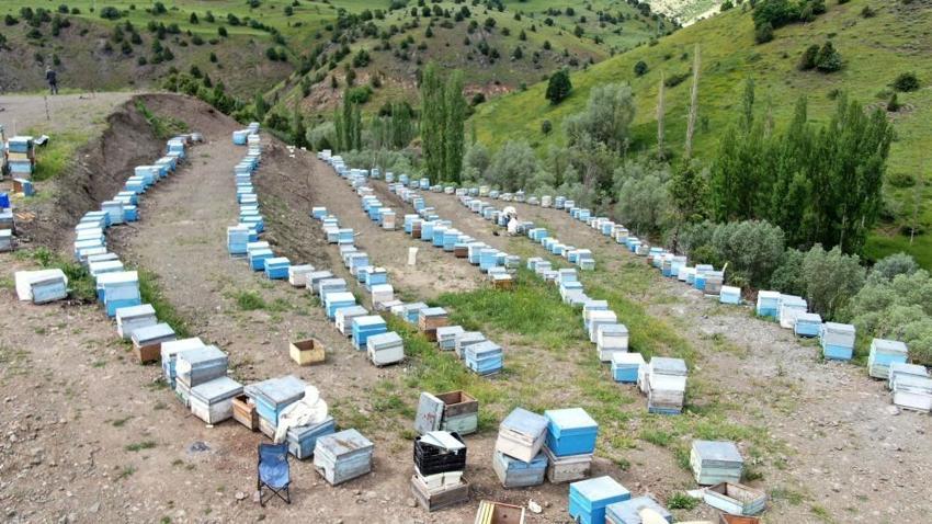 Yağışlı havalar bal üretimini de vurdu! ‘Arılar strese giriyor'