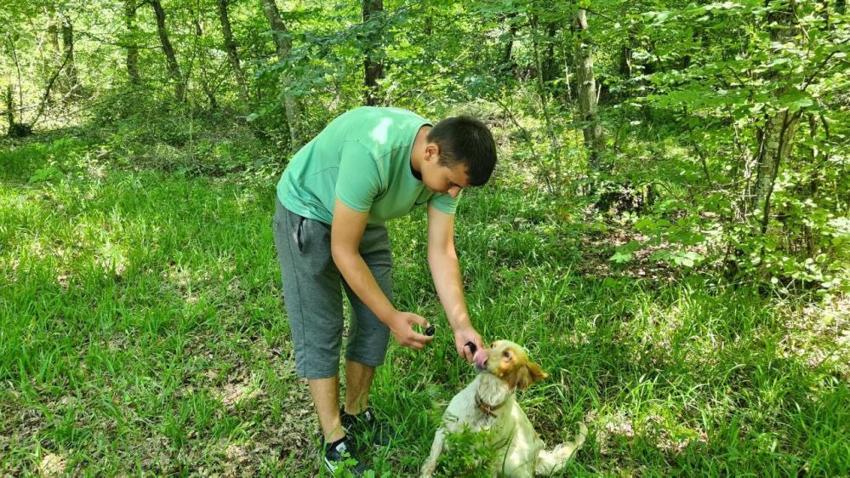 Kilo fiyatı 3 bin euro, özel eğitimli köpekler buluyor! Siyah elmas ve kral yiyeceği olarak biliniyor