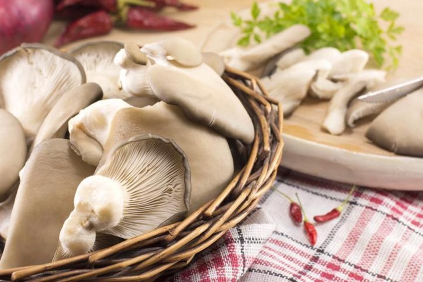 Yüksek tansiyon için bire bir, anında düşürüyor! Adeta doğal antibiyotik