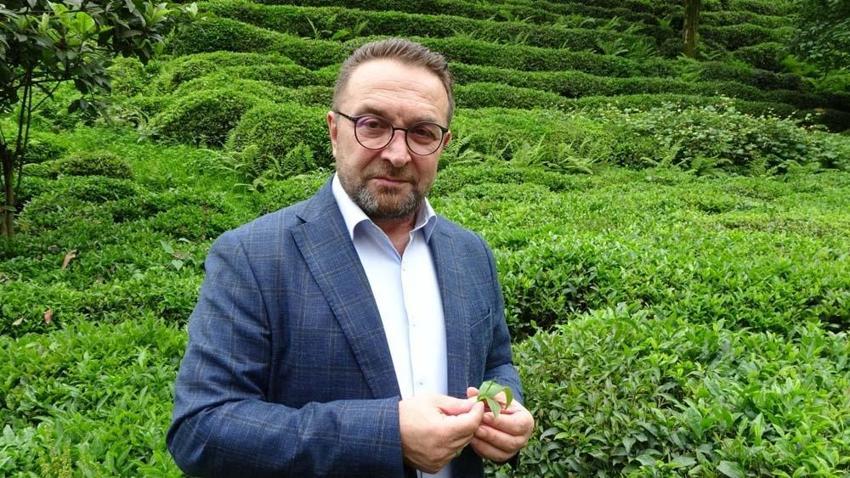 'İmparatorların çayı' olarak adlandırılıyor! Kilosu 1500 liradan satılıyor
