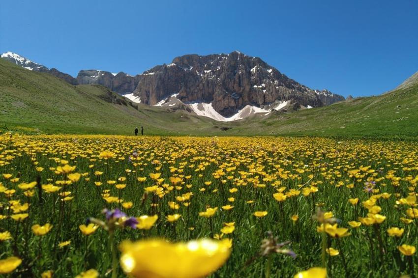 İsviçre Alperi değil, Munzur Dağı’ndaki Merg Yaylası