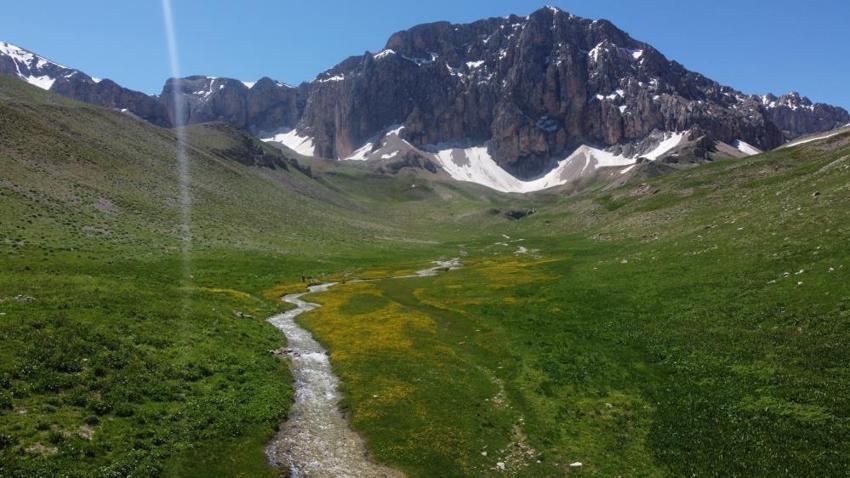 İsviçre Alperi değil, Munzur Dağı’ndaki Merg Yaylası
