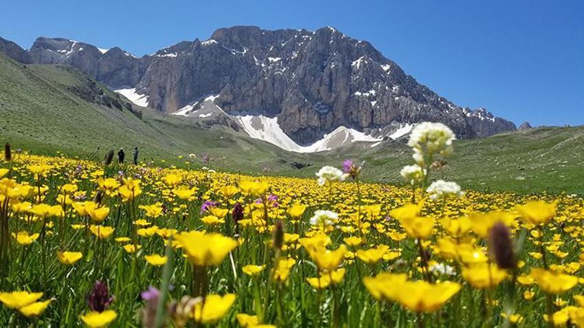 İsviçre Alperi değil, Munzur Dağı’ndaki Merg Yaylası