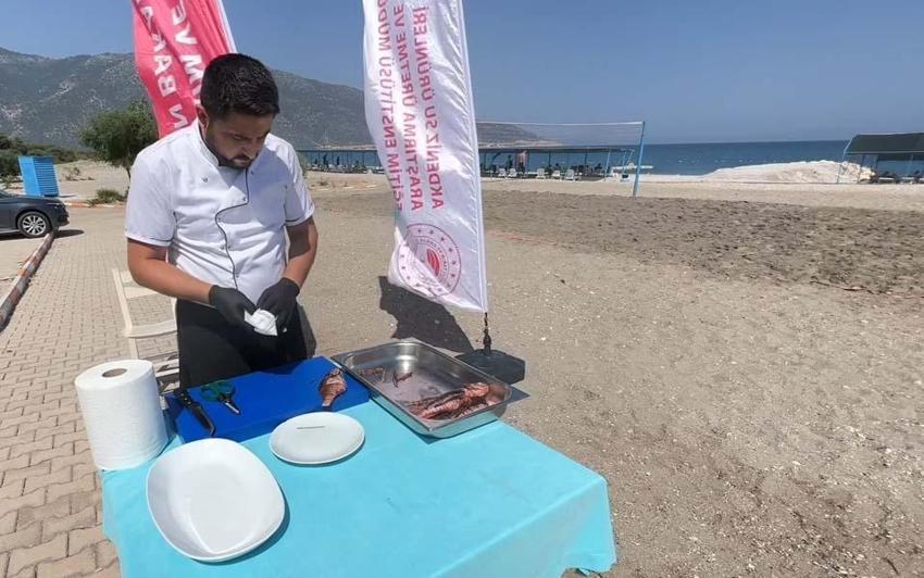 Balıkçıların korkulu rüyası Türk mutfağına yeni bir lezzet olarak ekleniyor