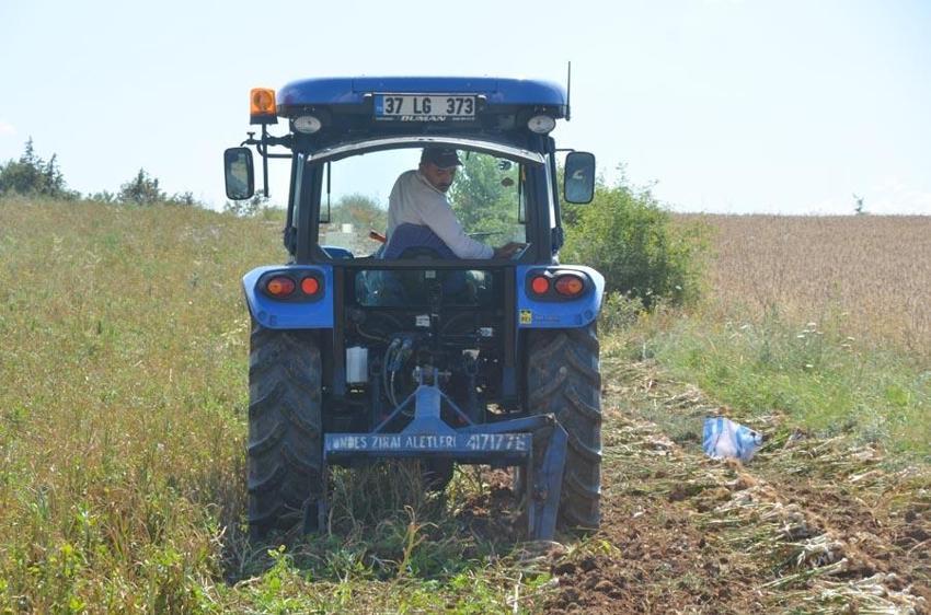 'Beyaz Altın'da hasat başladı! Ünlü Taşköprü sarımsağı tarlalarında okul harçlığı mesaisi