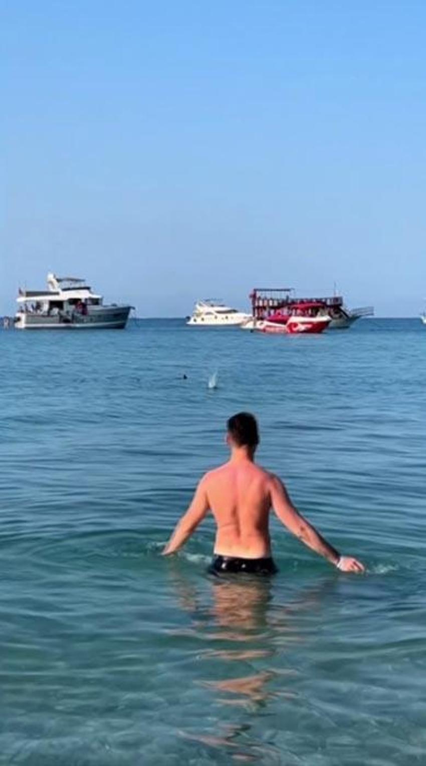 Denizde panik anları! Köpek balığı sanılarak taşlandı, nesli tükenmekte olan tür çıktı