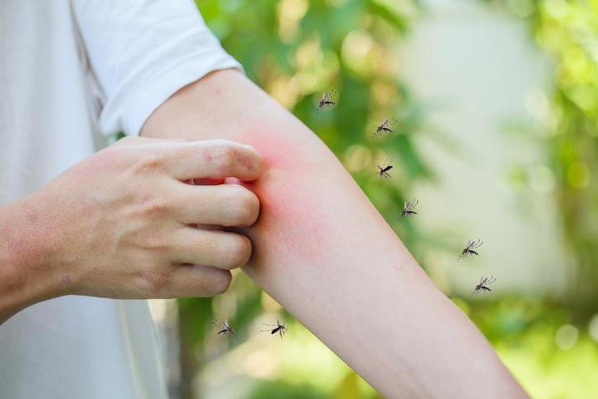 Diyabet hastası herkesi ilgilendiren kene ve sivrisinek uyarısı! Çok riskli