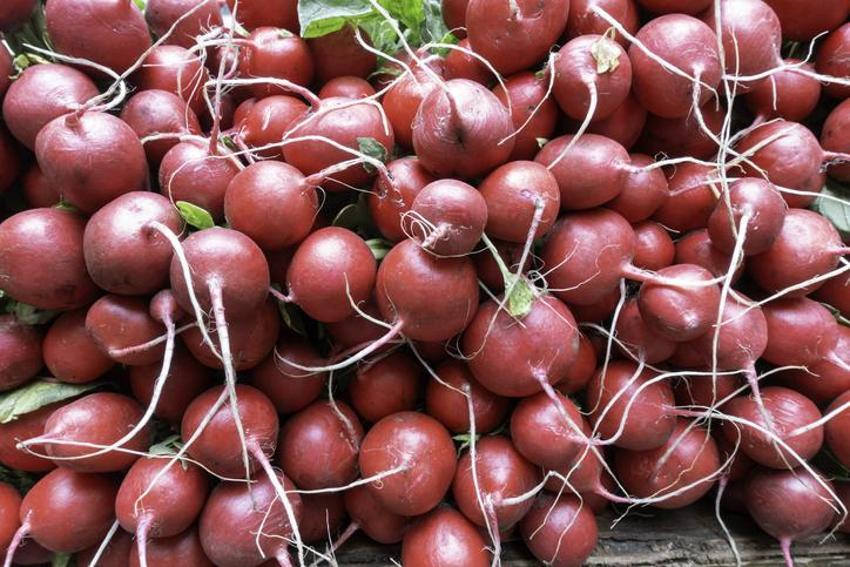Kan şekerini düzenliyor, kolesterolü dengeliyor, kansere karşı koruyucu! Potasyumun gizli kaynağı...