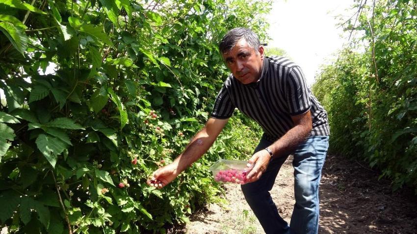 Hobi olarak başladı, şimdi talebe yetişemiyor! 10 ton üretiyor, kilosunu 80 liradan satıyor